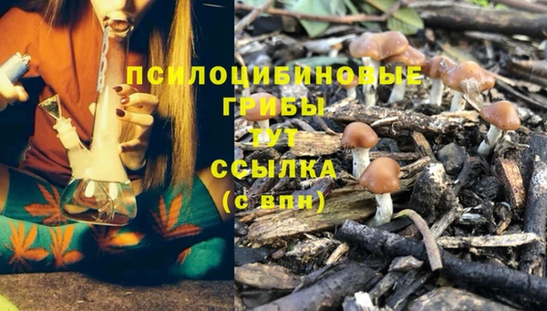 ПСИЛОЦИБИНОВЫЕ ГРИБЫ Навашино