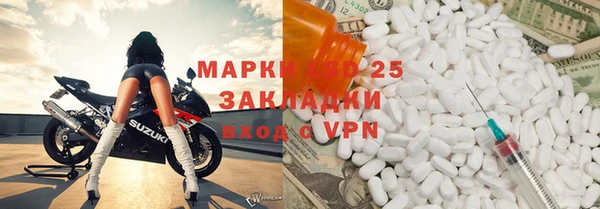 ECSTASY Данков