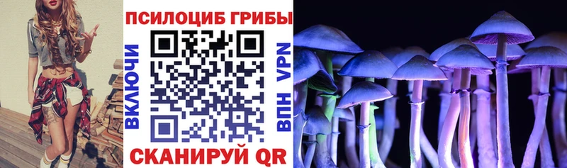 Галлюциногенные грибы GOLDEN TEACHER  наркотики  Кадников 